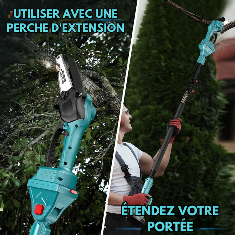 2 En 1 Cordless 8 Pouces Chainsaw Avec Pole Saw